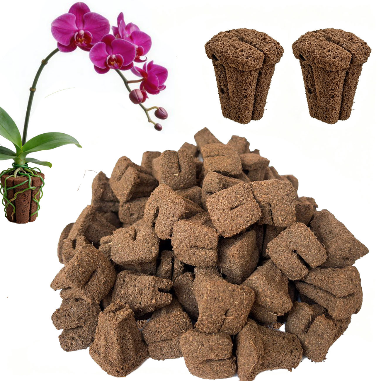 Nursery - Esponjas de germinación rápida para orquídeas