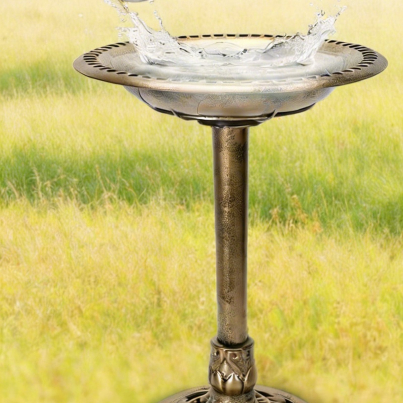 Baño para Pájaros con Estaca p - Feeding reseña y precio