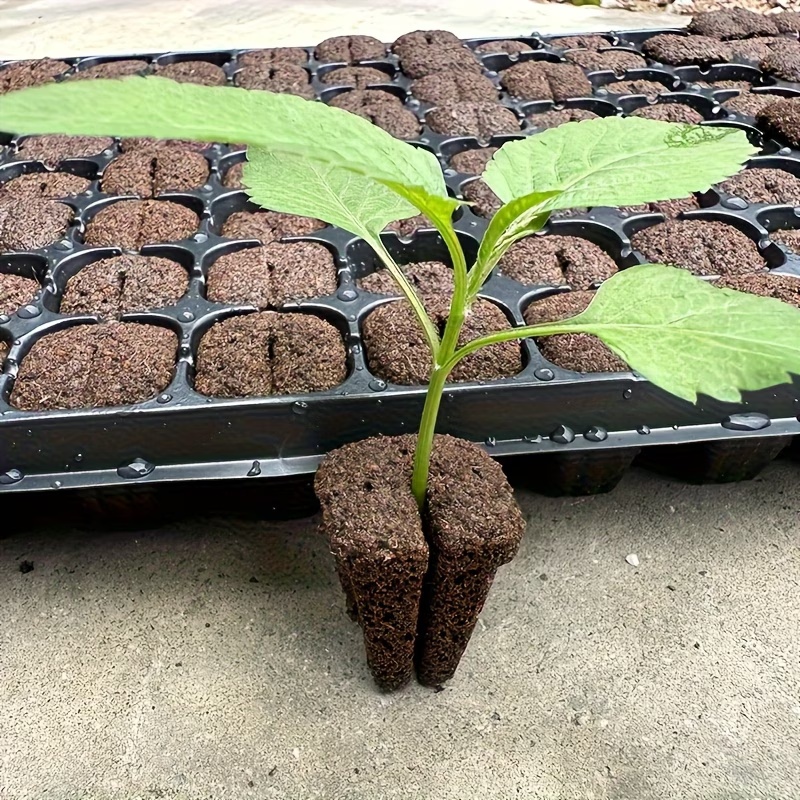 Esponjas de germinación rápida - Nursery reseña y precio
