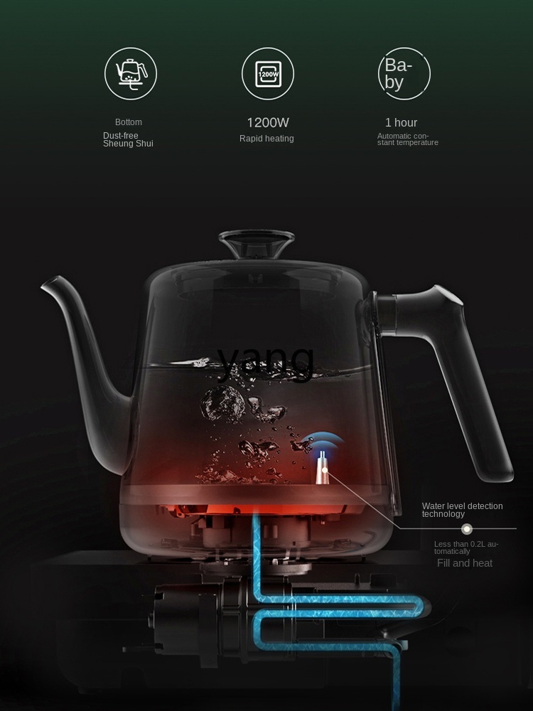 Hervidor de Agua Automático CX - Feeding reseña y precio